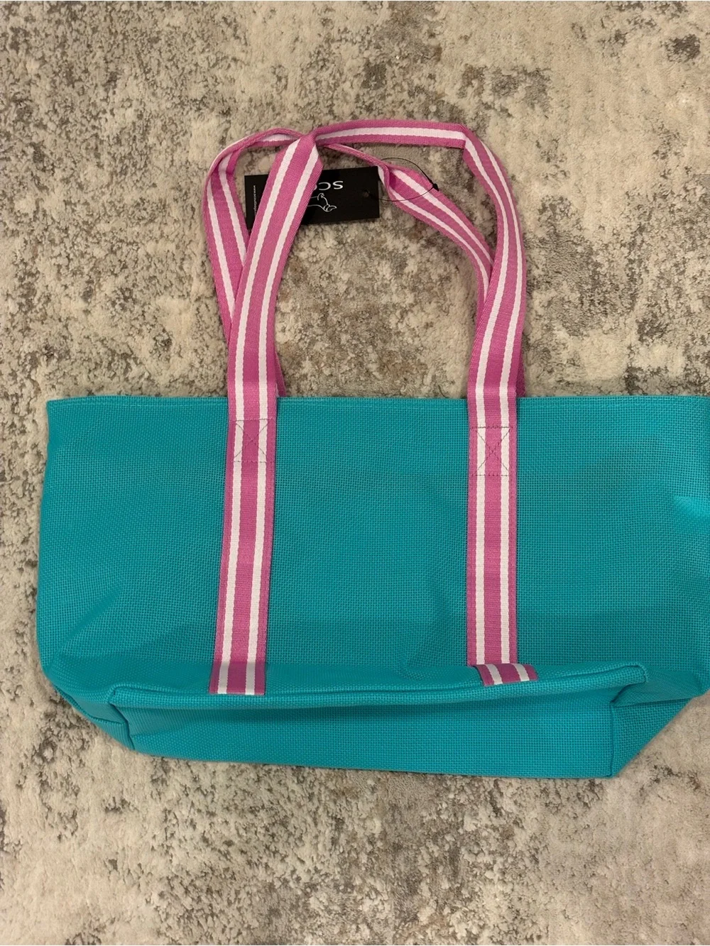Scout Teal Canvas Tote with Pink Stripe Handles